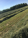 Premium Alfalfa / Orchard Grass Small Square Bale